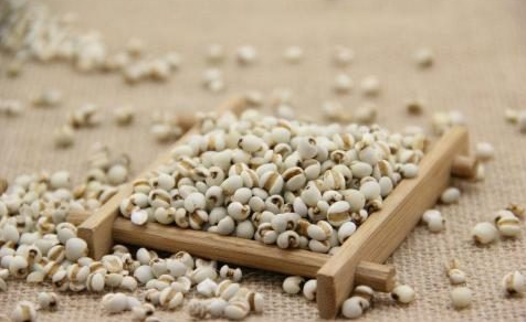 Traditional Chinese Medicine Health Preservation - Five Major Benefits of Coix Seed You Should Know!