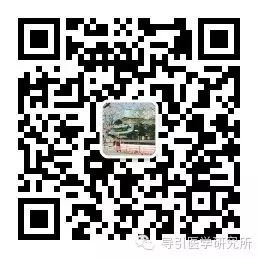 What is 'Dao Yin'?