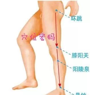 Key Techniques for Gua Sha