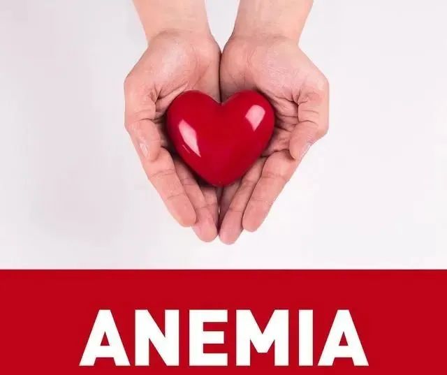 Best Foods for Improving Anemia: What to Eat for Optimal Blood Health
