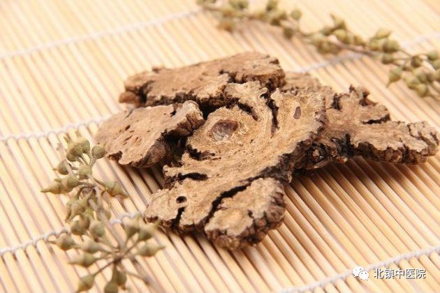 Chuanxiong (Rhizoma Chuanxiong) - A Comprehensive Overview