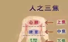 Six Traditional Chinese Medicines to Clear Damp-Heat from the Lower Jiao and Relieve Discomfort