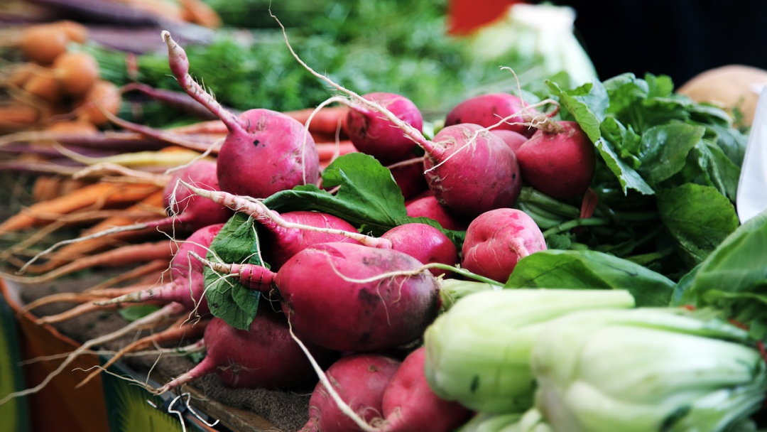 The Seven Major Benefits and Uses of Bai Shao (White Peony) and Its Consumption Methods