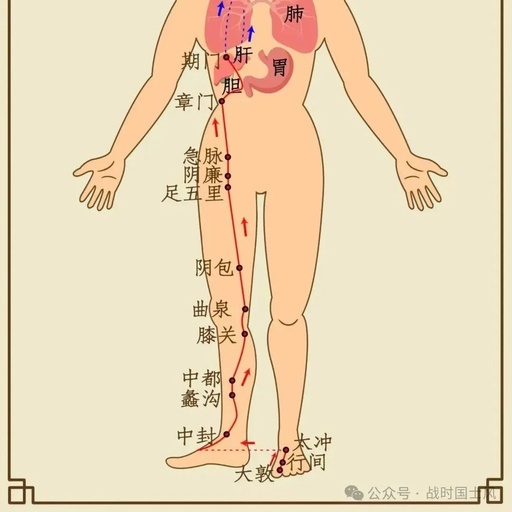Acupuncture Points for Liver Qi Stagnation