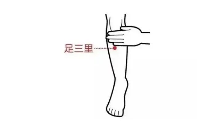 How to Ensure the Balance of Yin and Yang in the Body? Eight Tips from Traditional Chinese Medicine!