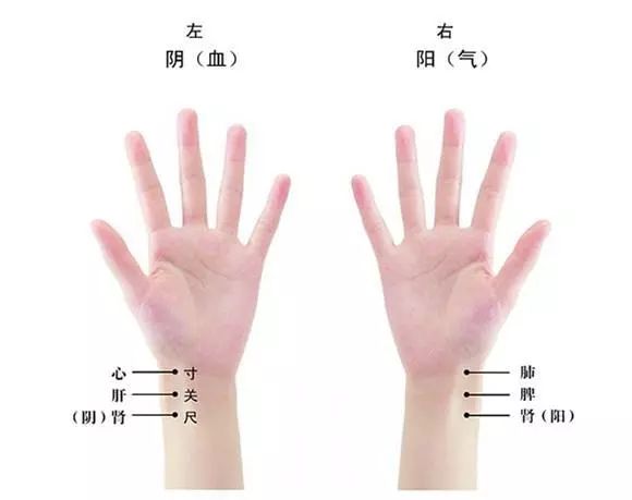 Fundamental Knowledge of Pulse Diagnosis - Hua (Yang within Yin)