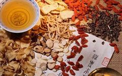 102 Medicinal Soup Recipes, Each Soup Treats a Specific Illness!