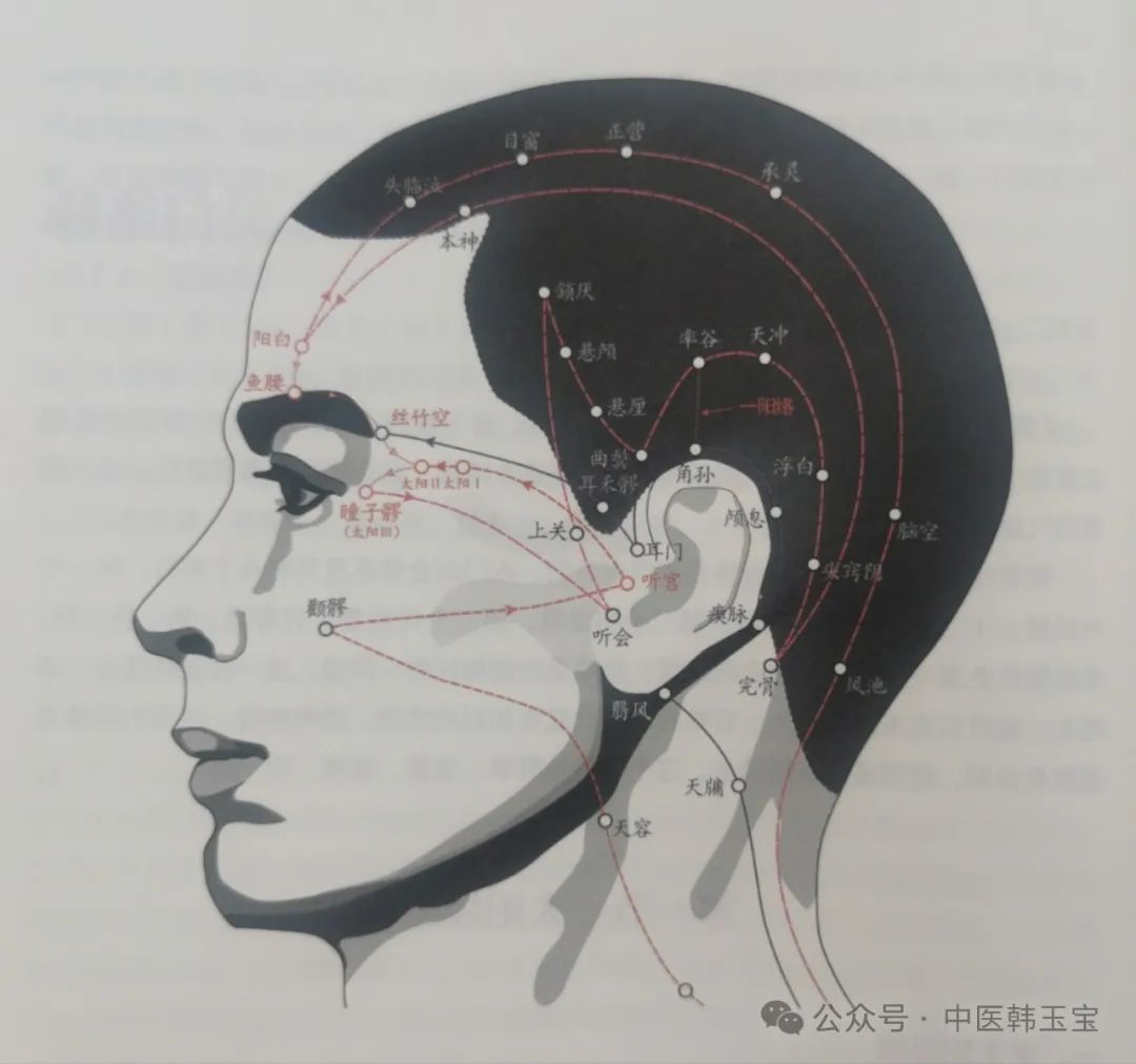 Meridian Studies I: Wu Men Meridian and Tai Yang Meridian