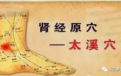 Common Deficiency Syndromes of the Five Organs (Yin, Yang, Qi, Blood) and Their Treatment Methods