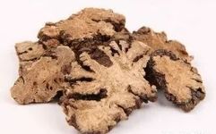 Understanding a Chinese Herbal Medicine Each Day