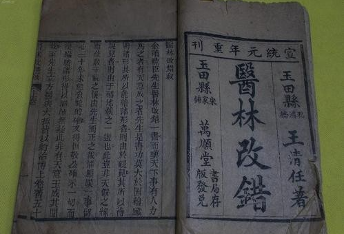 Blood Stasis as the Root of All Illness: Five Blood-Invigorating Formulas by Ren Wang Qing