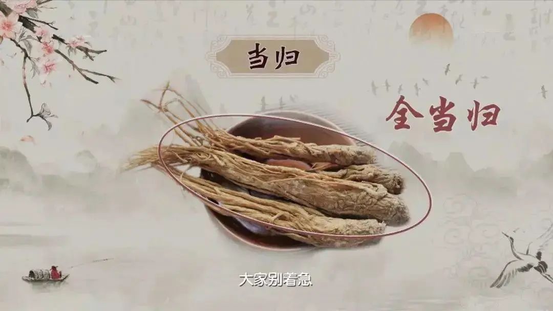 Discussing Angelica Sinensis and the Return Point