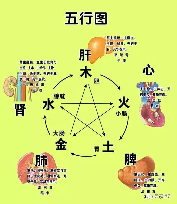 Introduction to the Huangdi Neijing