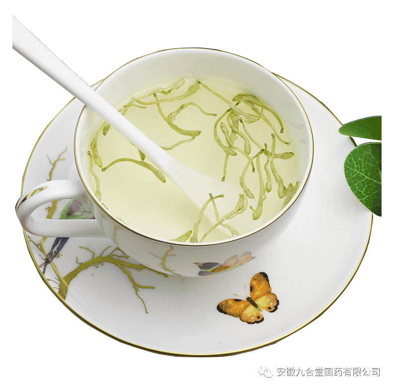The Medicinal and Dietary Benefits of Honeysuckle (Jin Yin Hua)