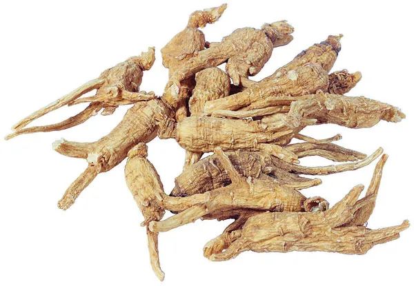 Angelica Sinensis (Dang Gui): A Comprehensive Overview