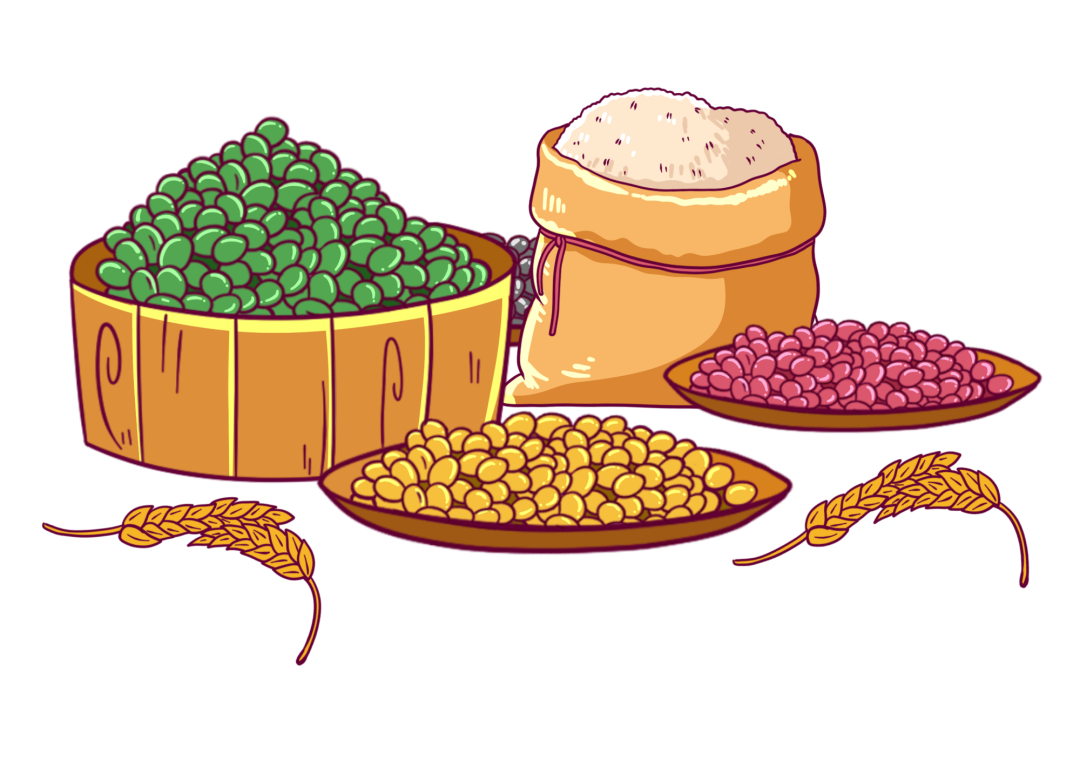Whole Grains: The Foundation of Health, Are You Eating Right?