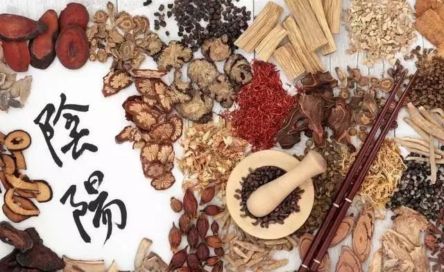 The Best Chinese Patent Medicines for Kidney Yang Deficiency and Kidney Yin Deficiency