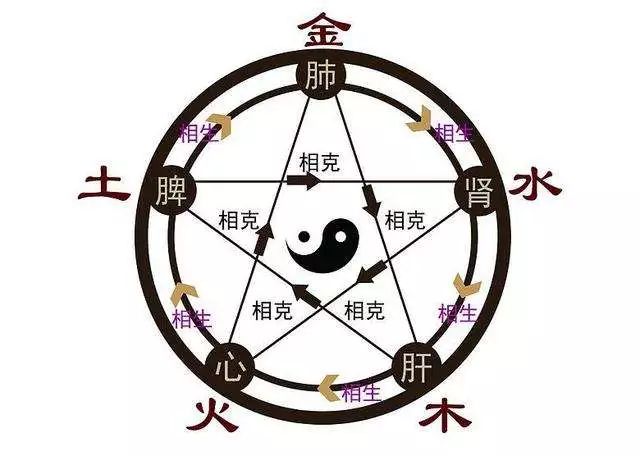 The Five Elements in Traditional Chinese Medicine: Interactions and Health Implications