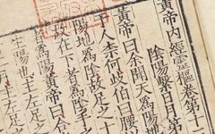 The Huangdi Neijing: More Than Just a Medical Text