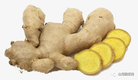 Traditional Chinese Medicine: Dried Ginger
