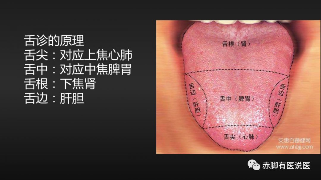 Understanding Your Tongue Diagnosis in 10 Minutes