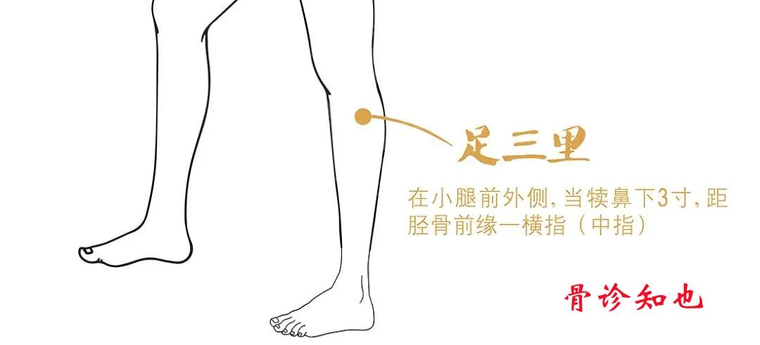 Ten Practical Steps to Improve Spleen and Stomach Yang Deficiency