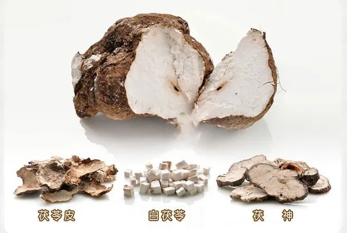 Fuling (Poria) in Traditional Chinese Medicine