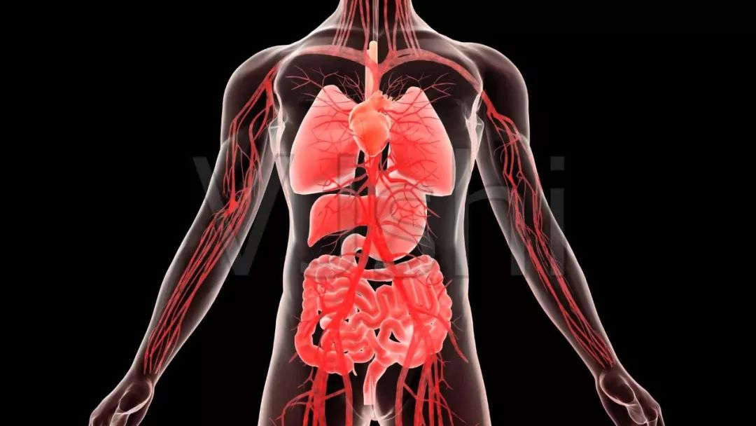 Introduction to the Functions of the Six Fu Organs