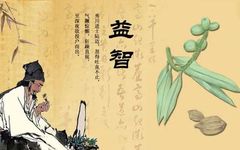 The Story of Bencao Gangmu: The Shared Origins of Medicine and Food Discussing Yizhi