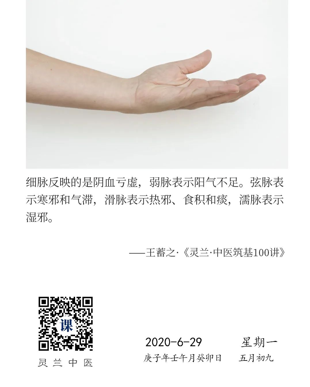 Linglan Daily Insights | Fine Pulse, Weak Pulse, String Pulse, Slippery Pulse, Moist Pulse