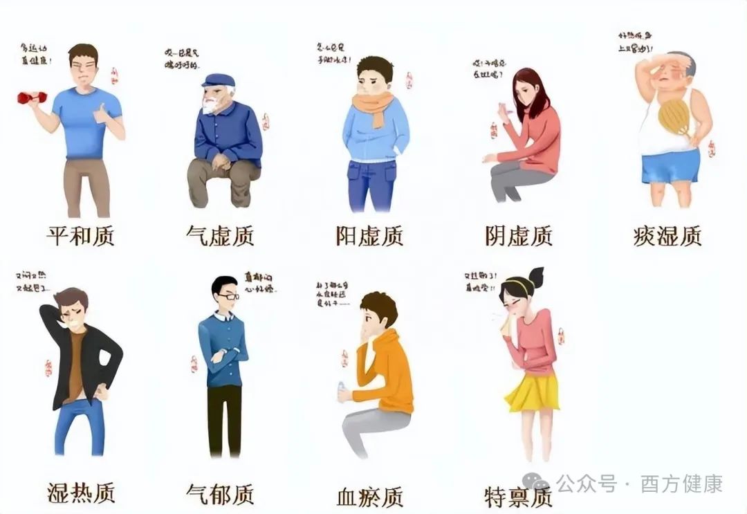 The Nine Types of Constitutions in Traditional Chinese Medicine and Their Health Preservation Methods: Which One Are You?