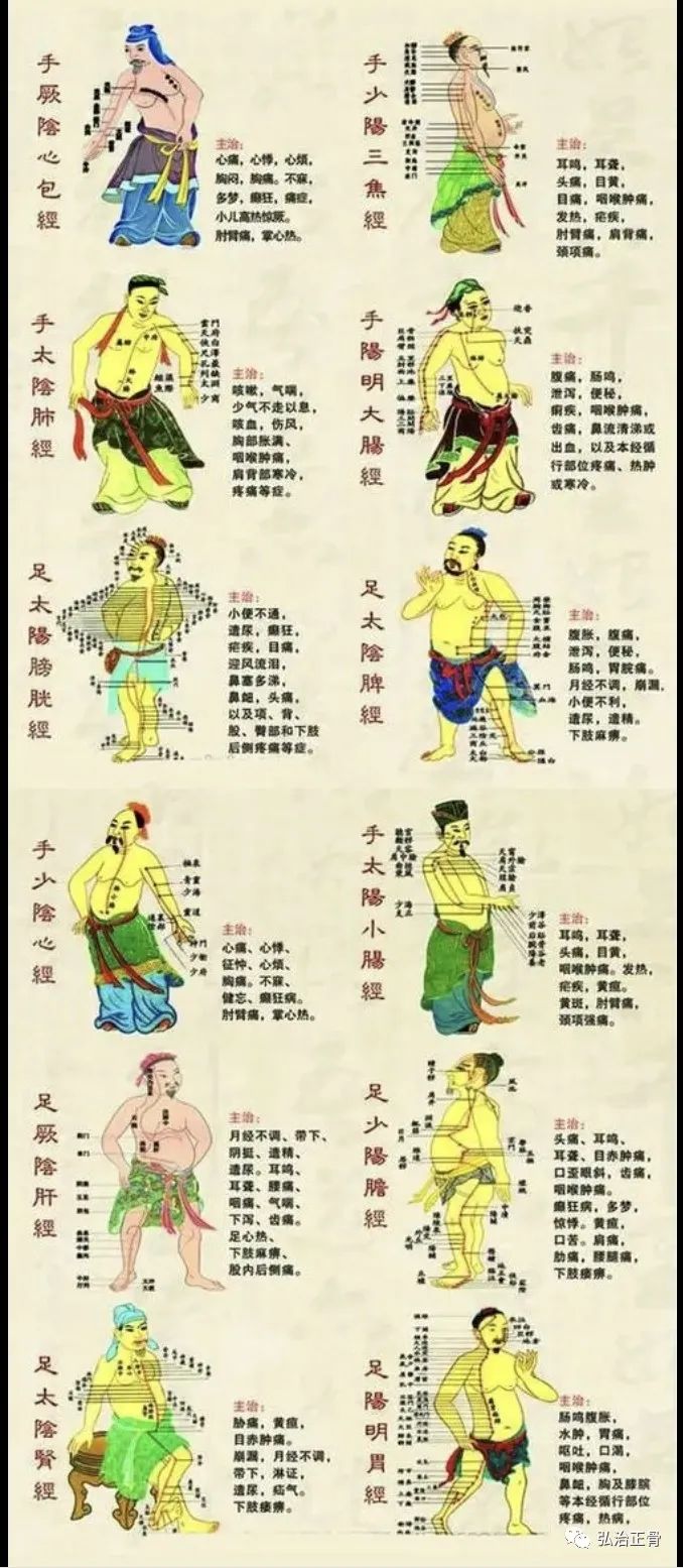 Self-Learning! The Daoist Guiding Technique of the Five Internal Organs!