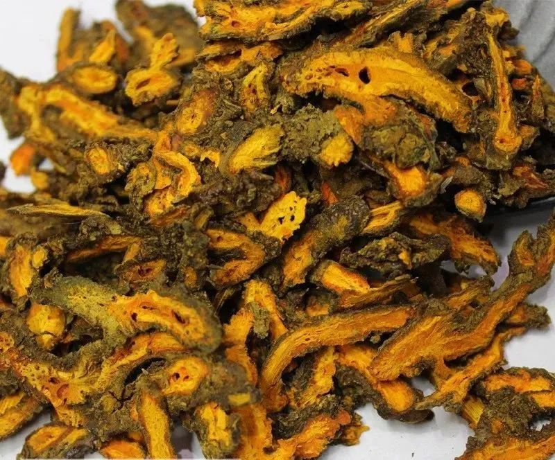Guide to the Use of Huang Lian (Coptis Chinensis)