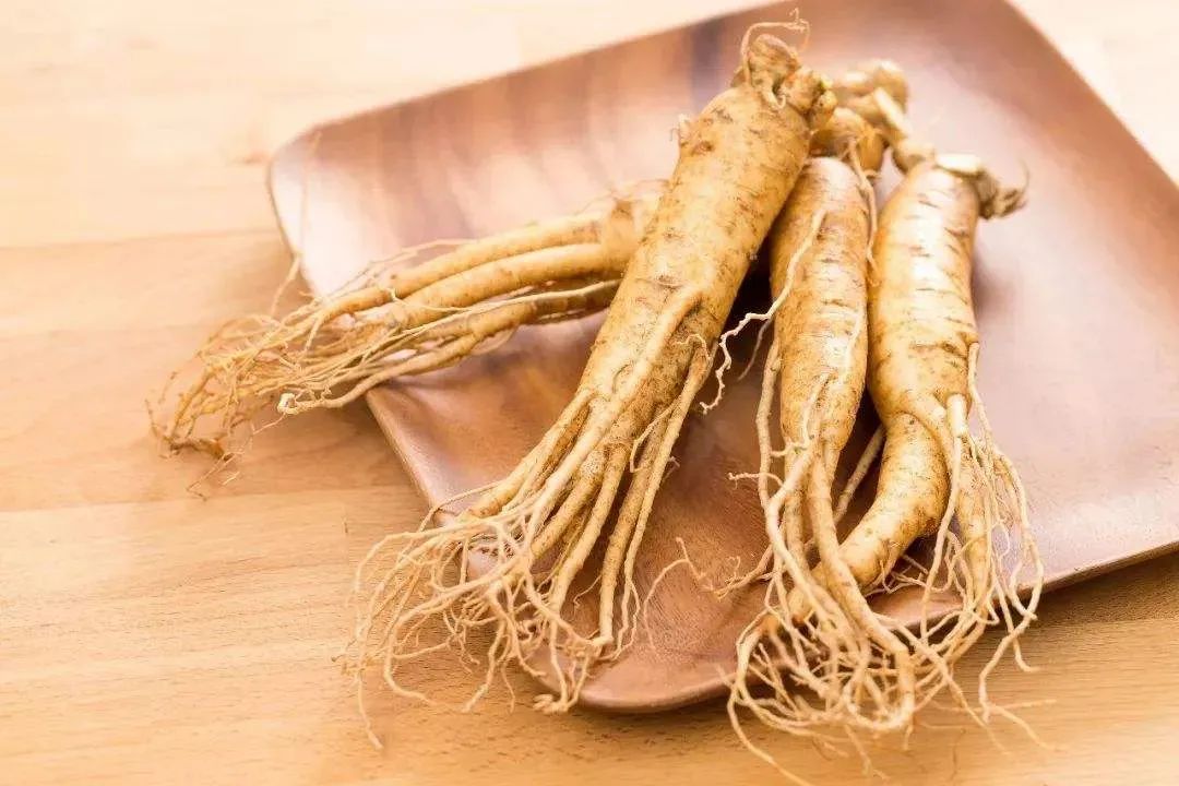 Ginseng: A Comprehensive Overview in Traditional Chinese Medicine