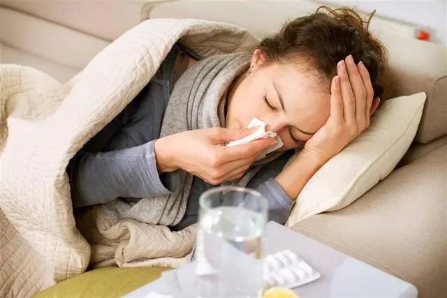 Distinguishing Between Wind-Cold and Wind-Heat Colds: A Targeted Approach Based on Four Key Aspects