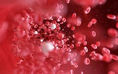 Blood Stasis: The Root of All Illnesses - Five Blood-Activating Formulas by Ren Wang Qing