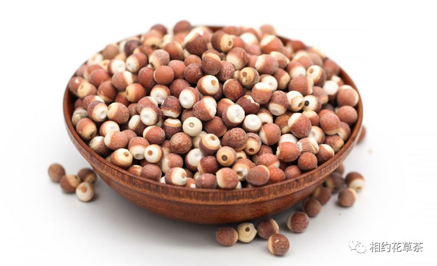 Nutritional Benefits of Various Grains and Beans (Part 1)