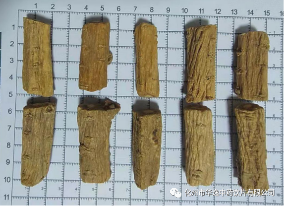 Common Chinese Medicinal Herbs: Codonopsis (Dang Shen)