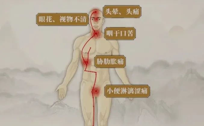 Six Traditional Chinese Medicines to Clear Damp-Heat from the Lower Jiao and Relieve Discomfort