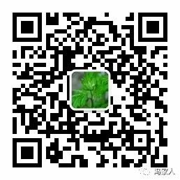 How to Use Moxibustion for Cold Hands and Feet? Three Warming Yang Points