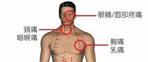 Correspondence Table of Emotions and Pain Related to Blocked Meridians