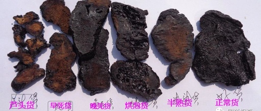 An Overview of Abnormal Phenomena in Cooked Rehmannia