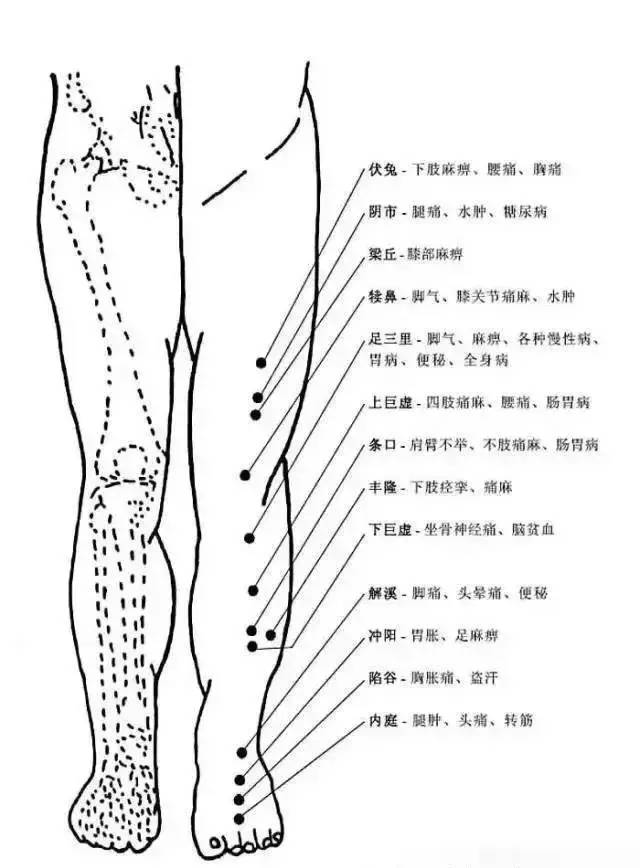 Comprehensive Explanation of Human Acupuncture Points and Their Effects: A Must-Read for Acupuncture Students!