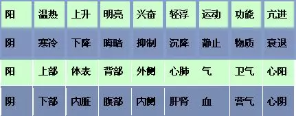Illustrated Guide to the Eight Principles of Diagnosis in TCM