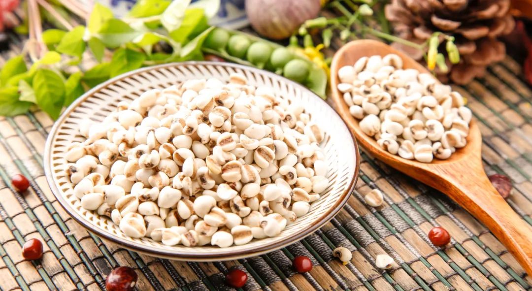Eliminating Dampness and Strengthening the Spleen: Five Barley Recipes for Dampness Relief