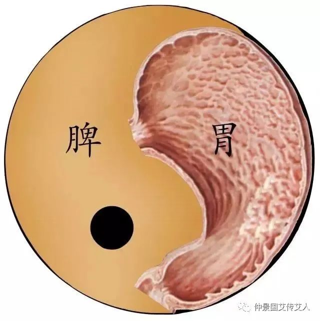 What is "Phlegm-Dampness" in Traditional Chinese Medicine?