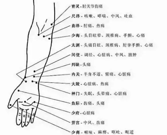 The Most Comprehensive Atlas of Acupuncture Points and Their Effects!