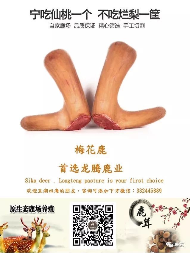 Causes and Symptoms of Kidney Yang Deficiency: What TCM Yang-Replenishing Herbs Are Available?