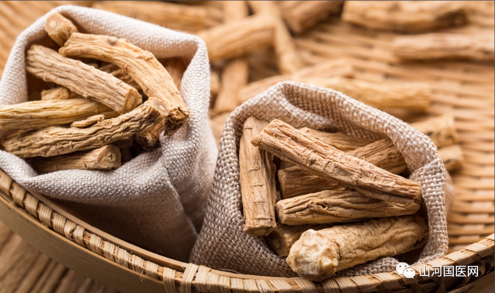 Codonopsis (Dang Shen): A Comprehensive Overview