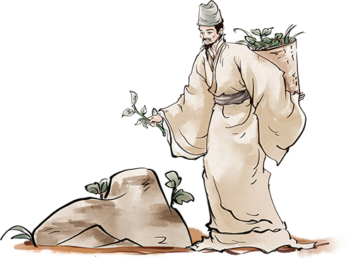 Understanding Body Constitution in Traditional Chinese Medicine